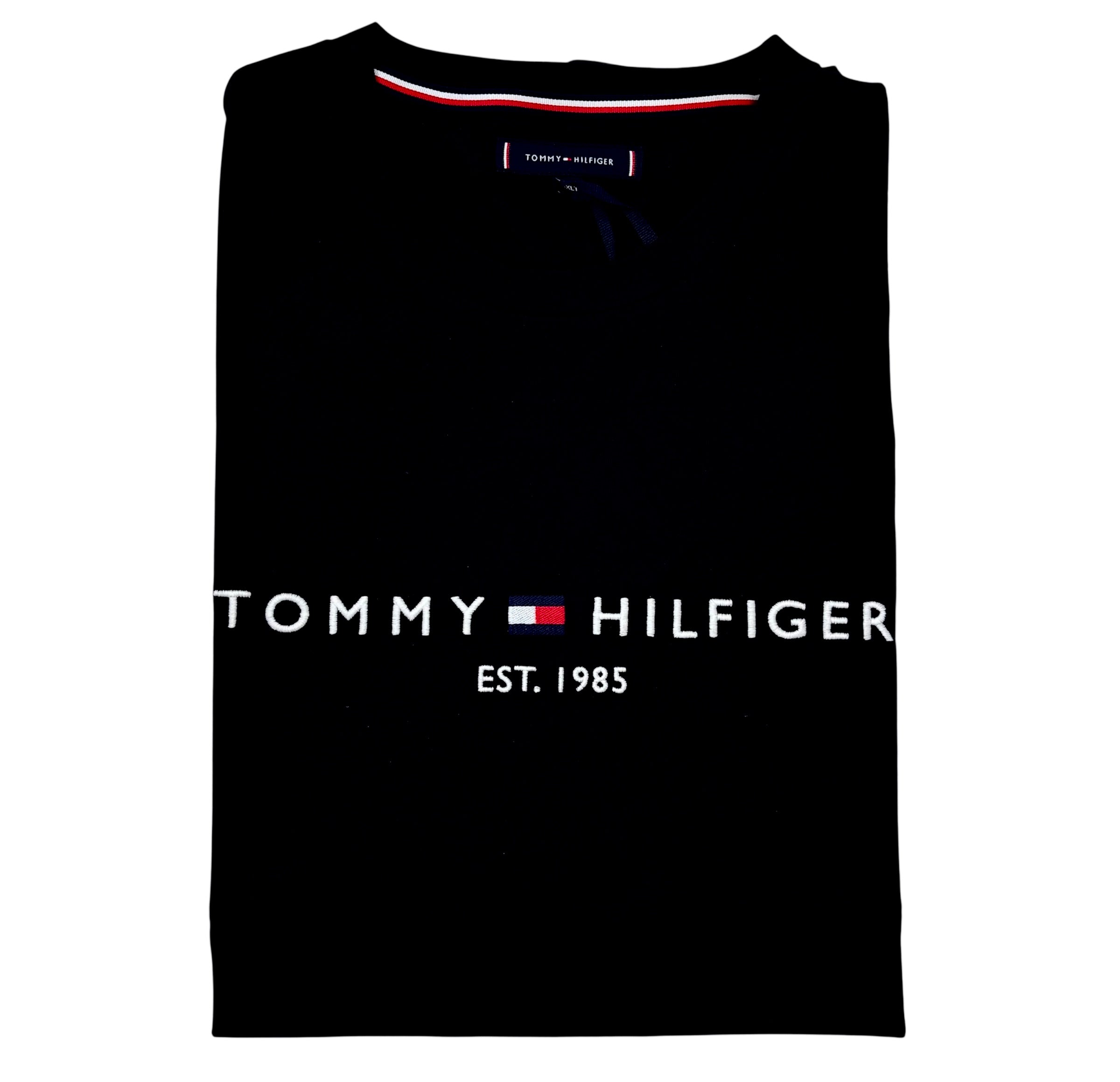 Big & Tall Tommy Hilfiger Regular Fit T-Shirt