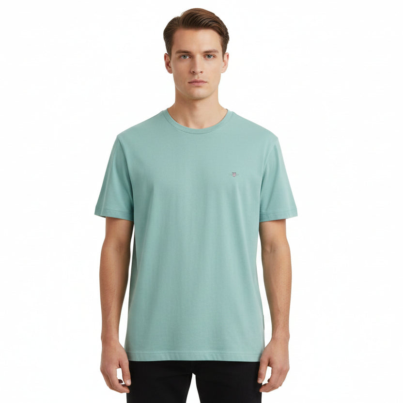 Big & Tall Gant Regular Fit T-Shirt