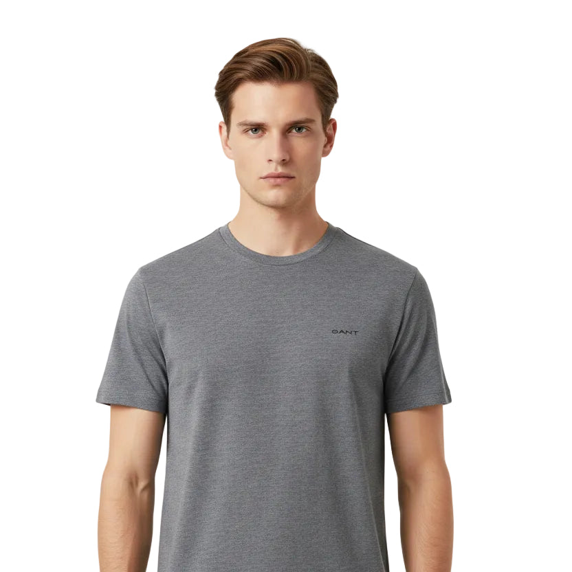 Big & Tall Gant Regular Fit T-Shirt