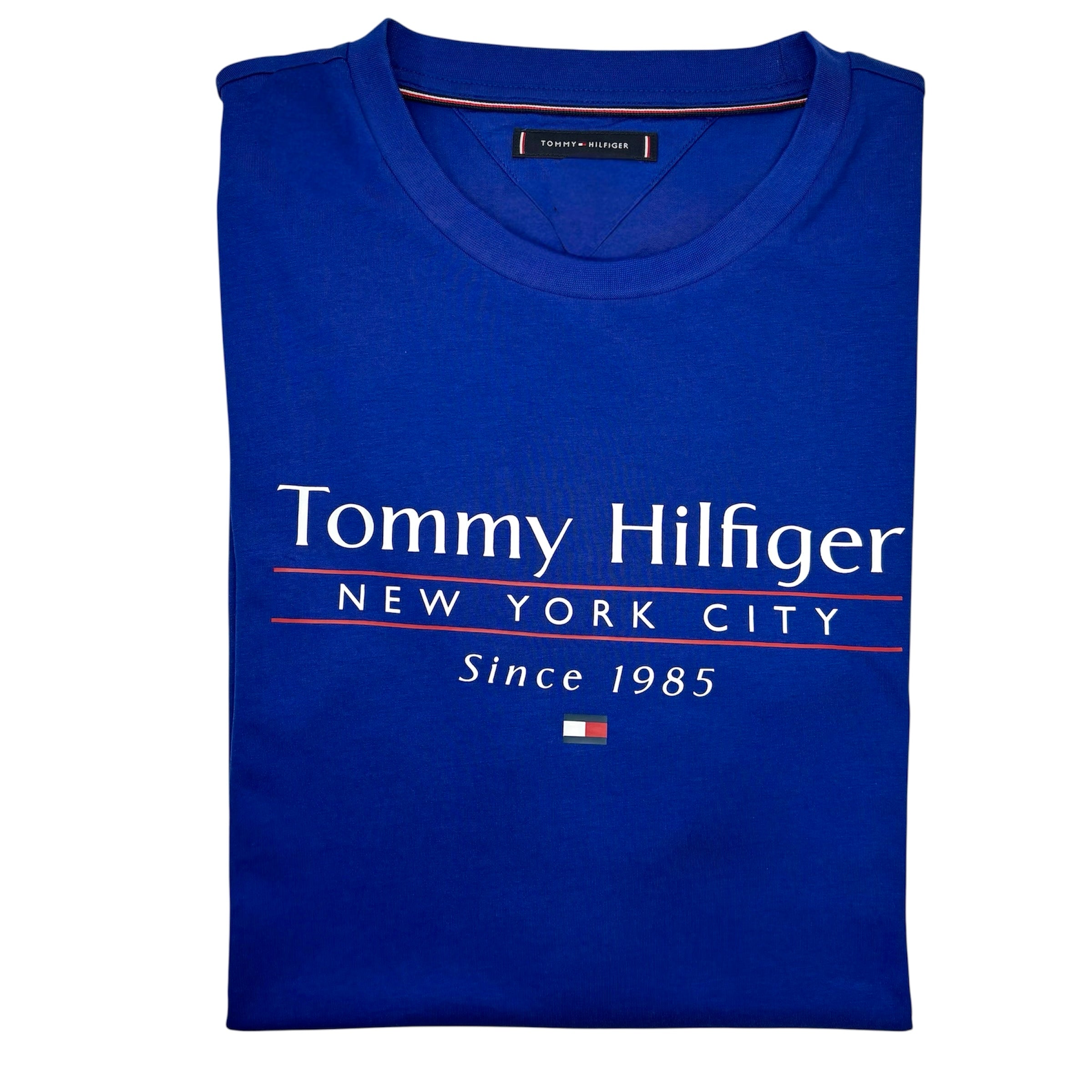 Big & Tall Tommy Hilfiger Regular Fit T-Shirt