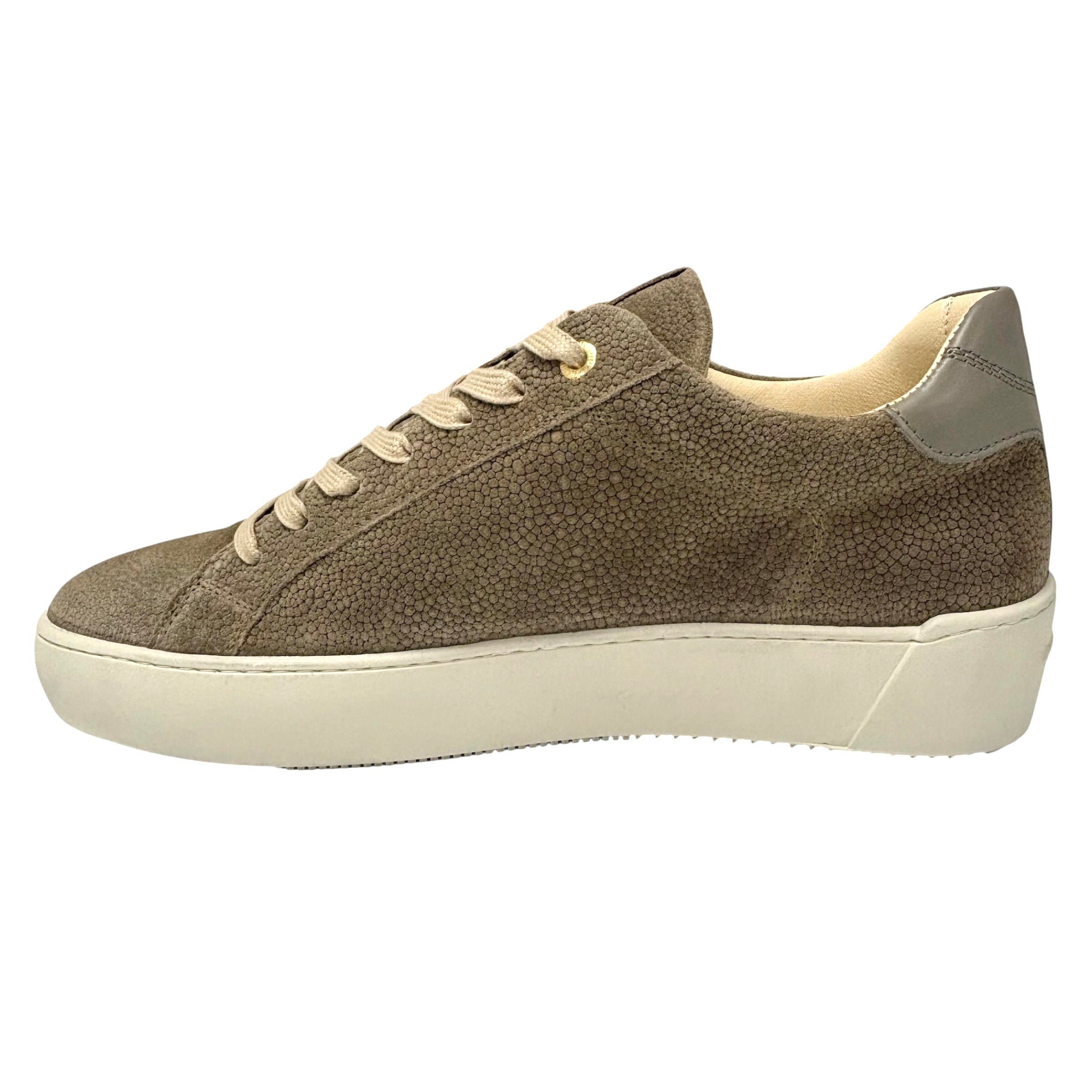 Android Homme Trainers