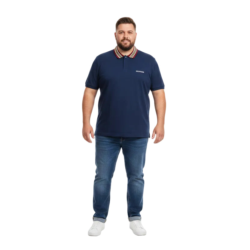 Big & Tall Tommy Hilfiger Regular Fit Polo Shirt
