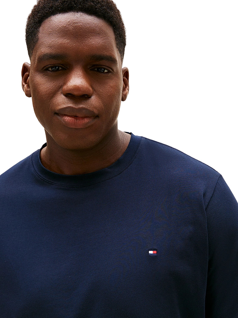 Big & Tall Tommy Hilfiger Slim Fit T-Shirt
