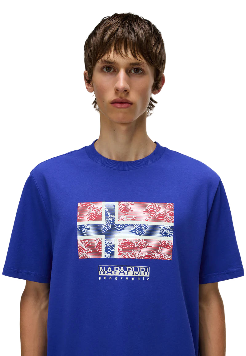 Napapijri Relaxed Fit T-Shirt