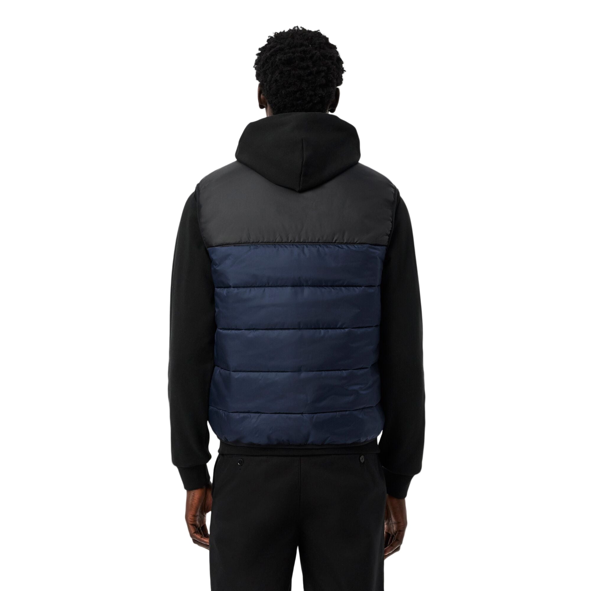 Lacoste Gilet