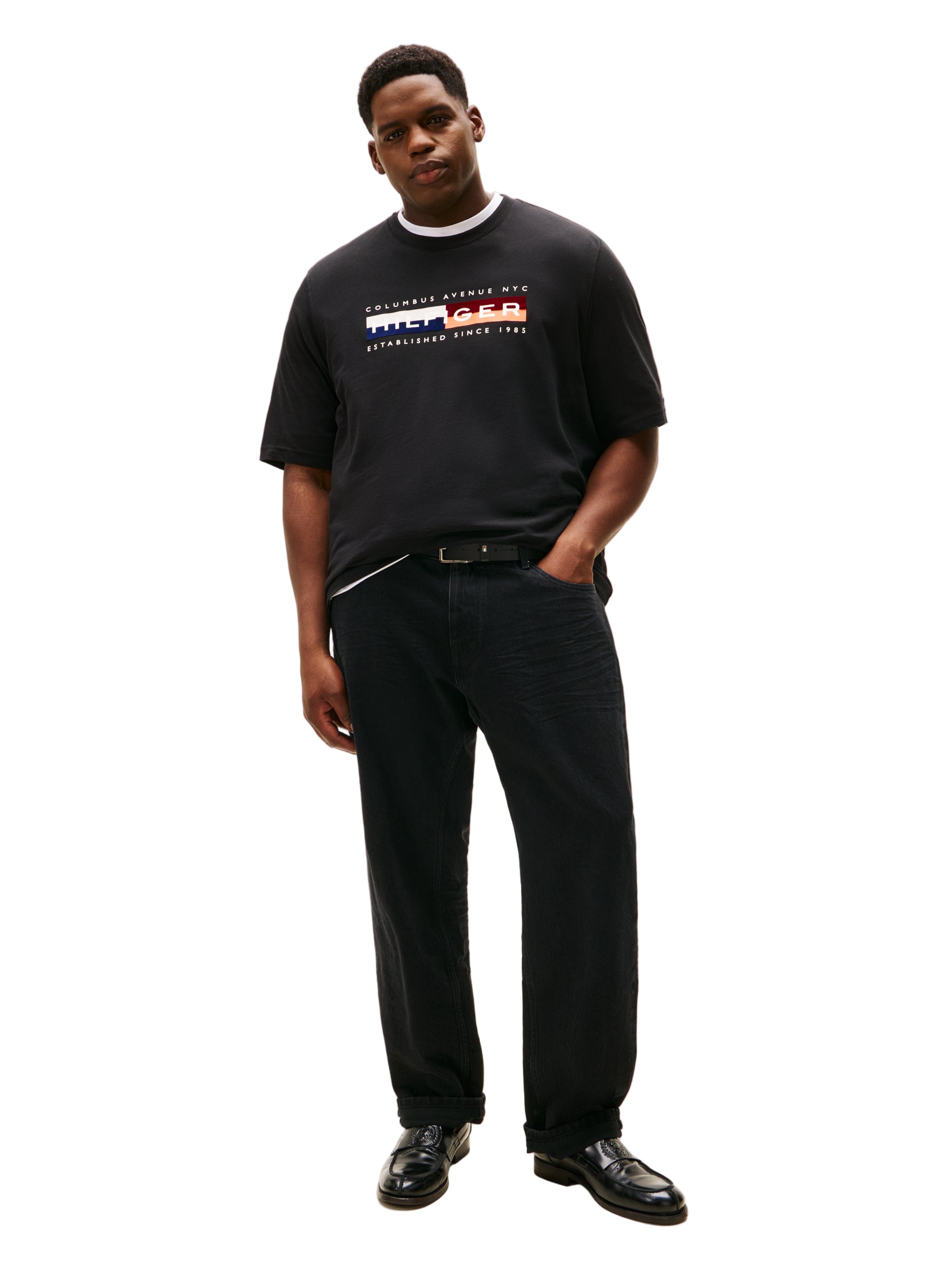 Big & Tall Tommy Hilfiger Regular Fit T-Shirt
