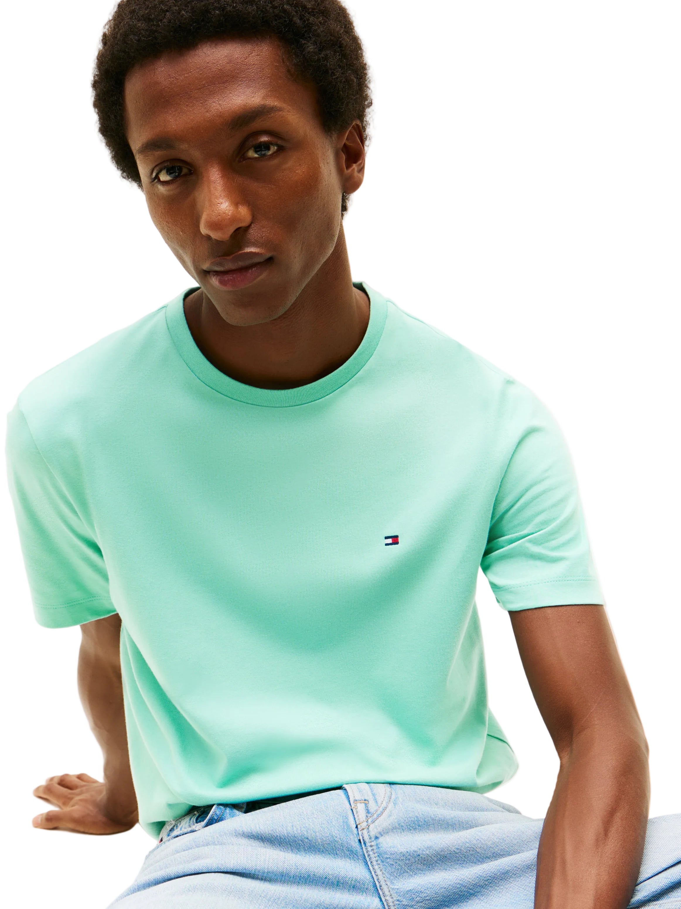 Tommy Hilfiger Regular Fit T-Shirt