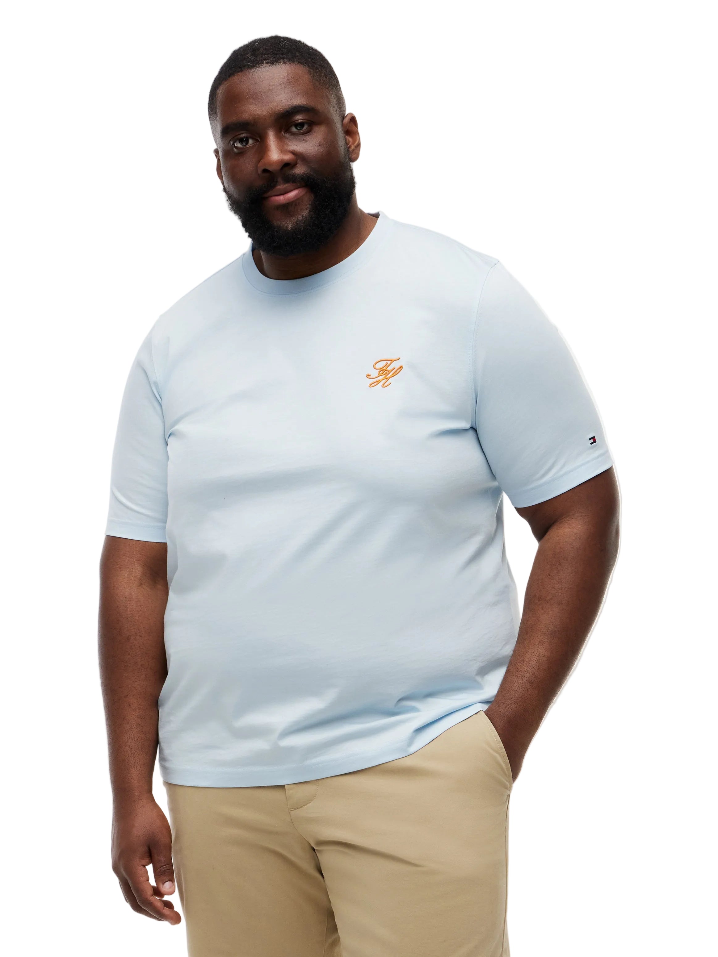 Big & Tall Tommy Hilfiger Regular Fit T-Shirt