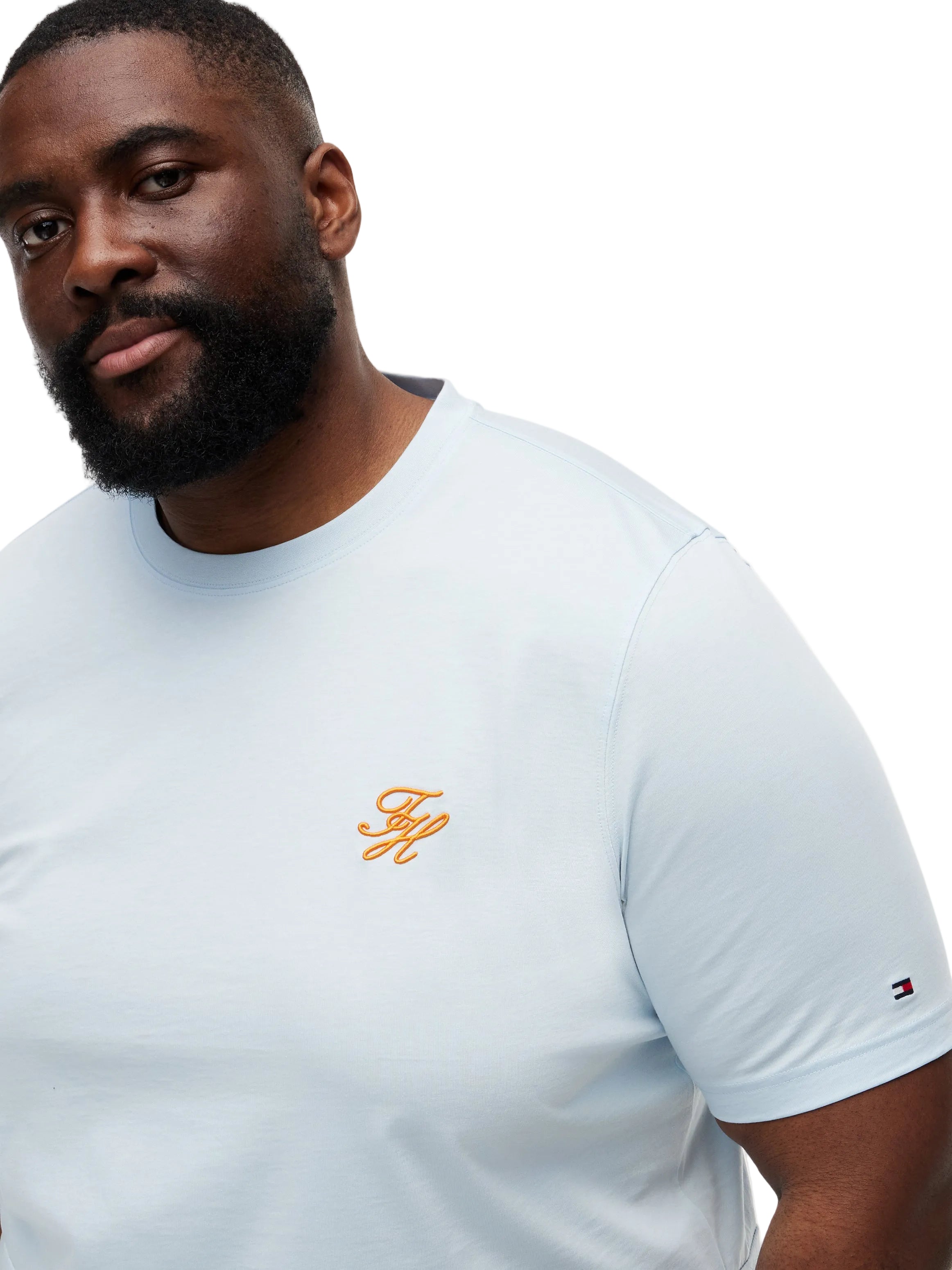 Big & Tall Tommy Hilfiger Regular Fit T-Shirt