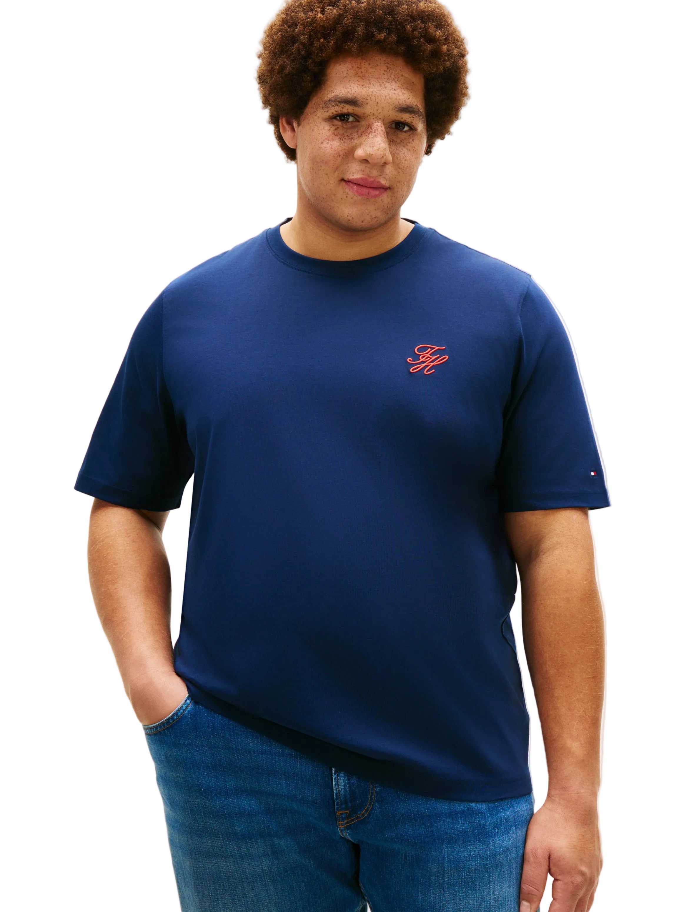 Big & Tall Tommy Hilfiger Regular Fit T-Shirt