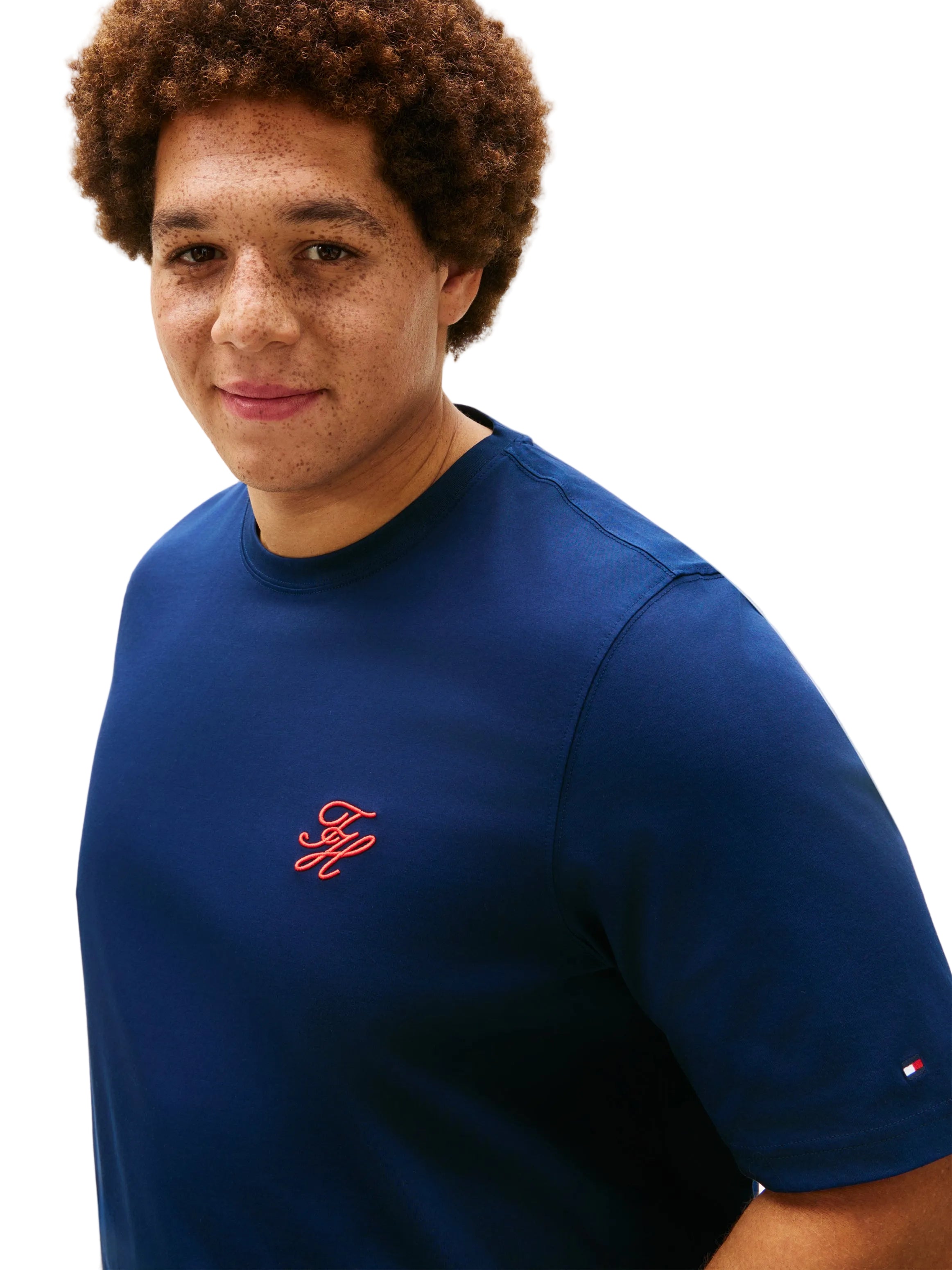 Big & Tall Tommy Hilfiger Regular Fit T-Shirt