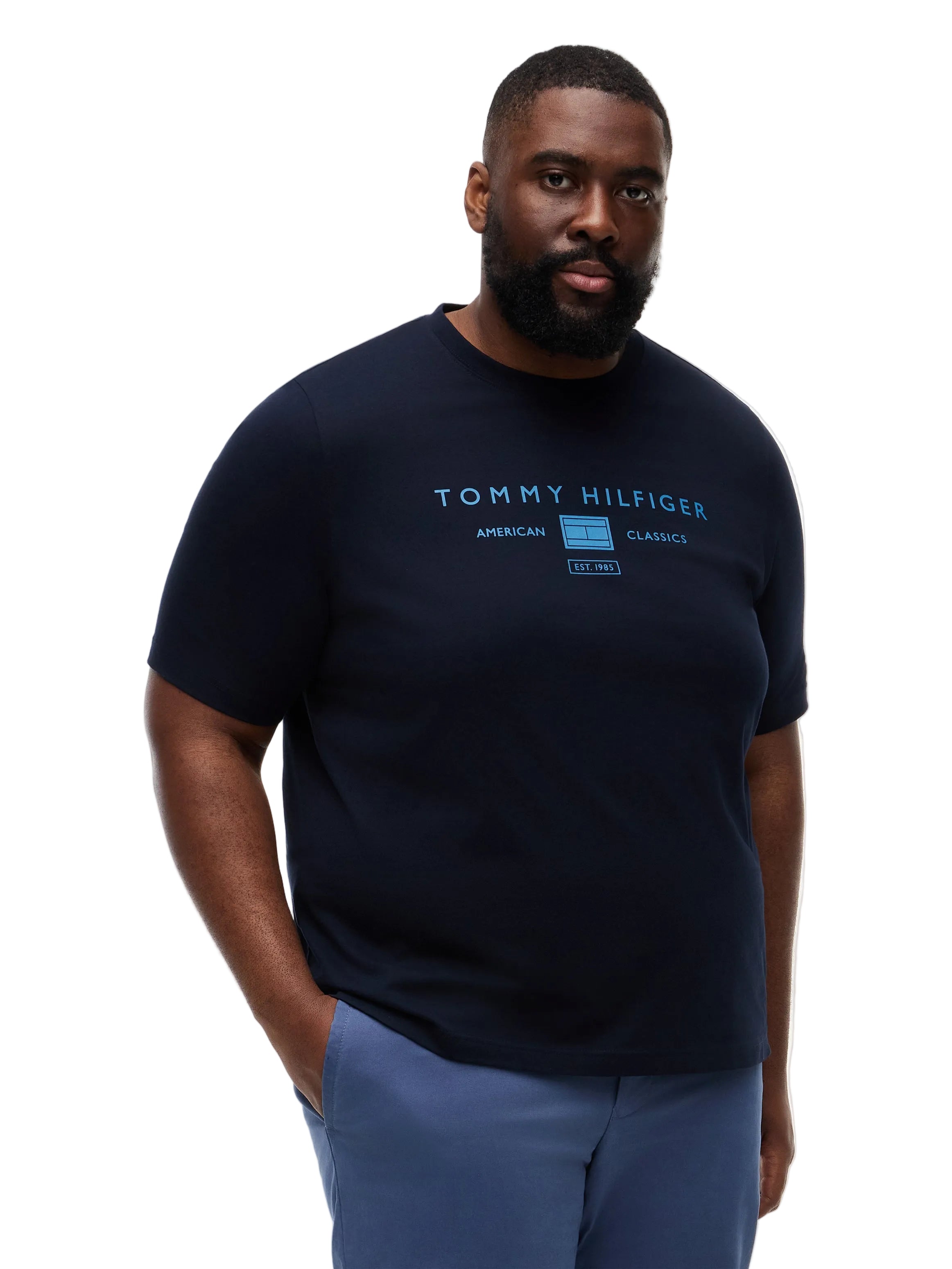 Big & Tall Tommy Hilfiger Regular Fit T-Shirt