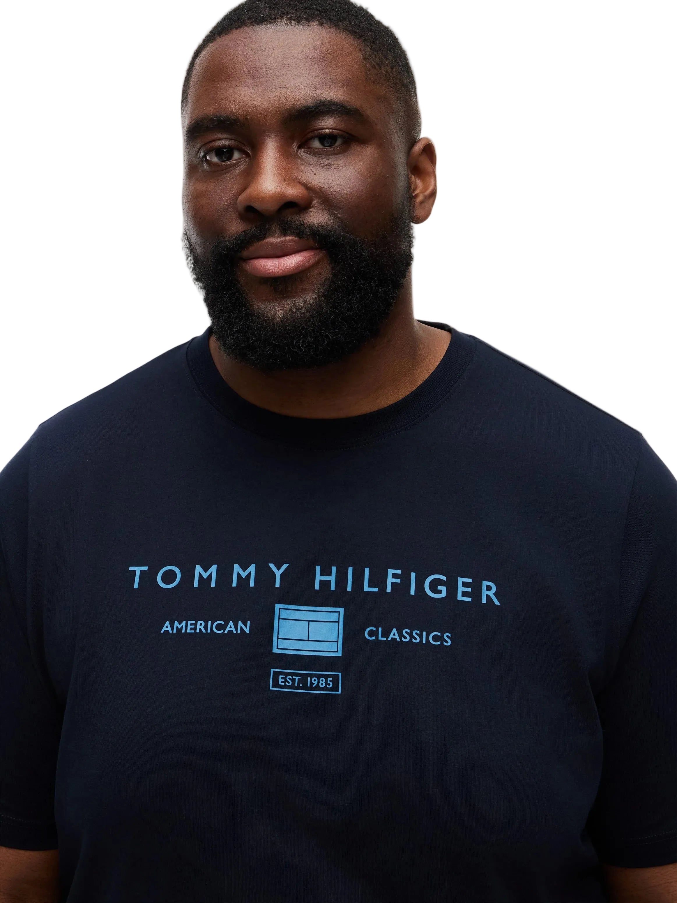 Big & Tall Tommy Hilfiger Regular Fit T-Shirt