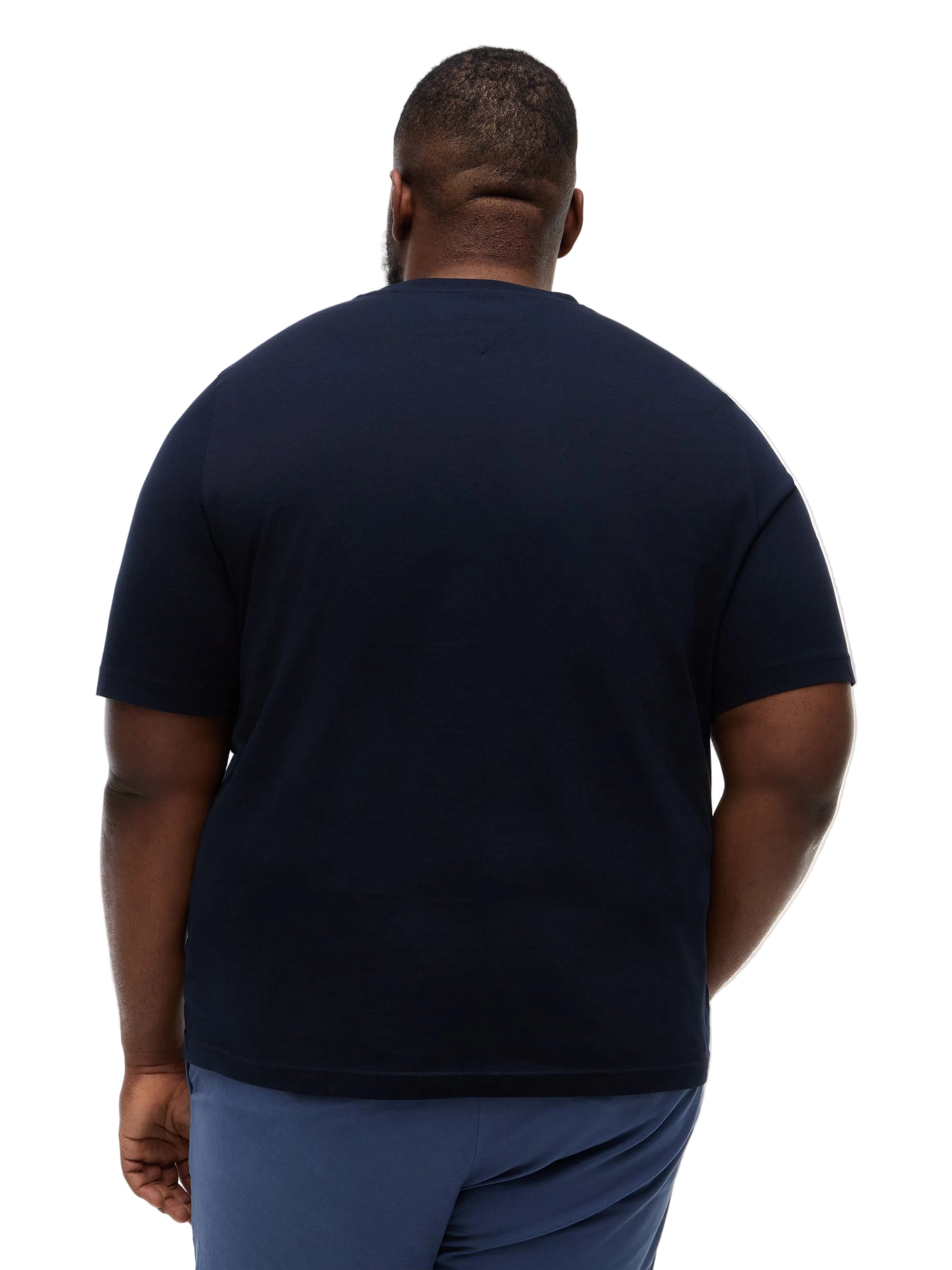 Big & Tall Tommy Hilfiger Regular Fit T-Shirt