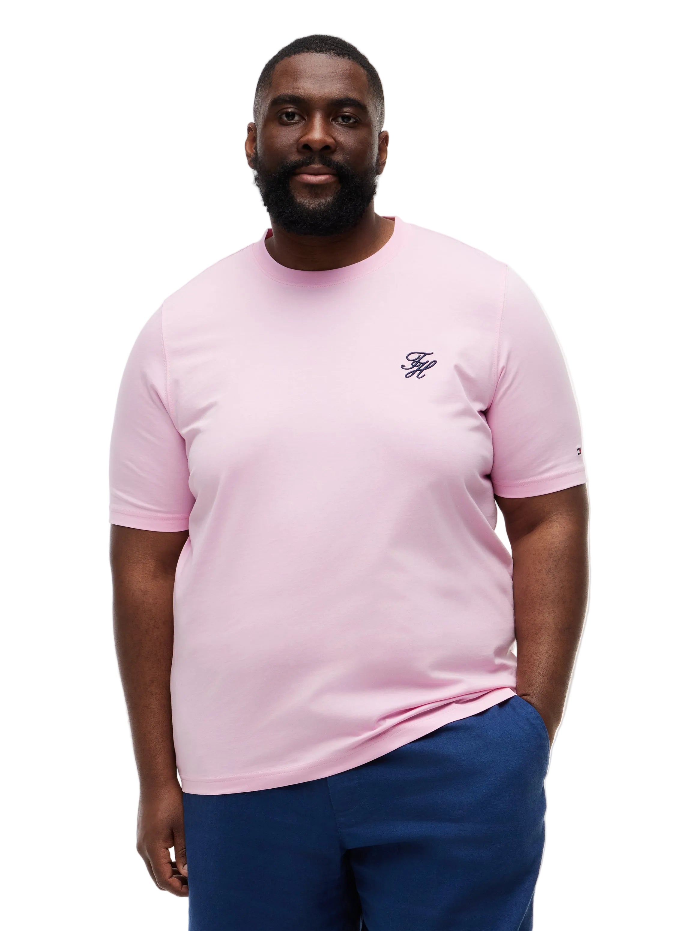 Big & Tall Tommy Hilfiger Regular Fit T-Shirt
