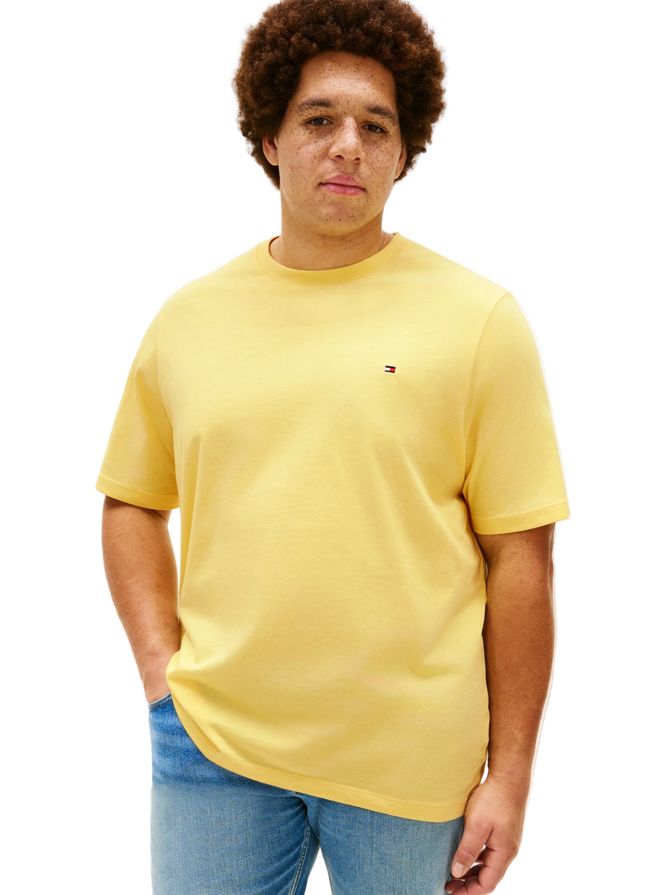 Big & Tall Tommy Hilfiger Regular Fit T-Shirt