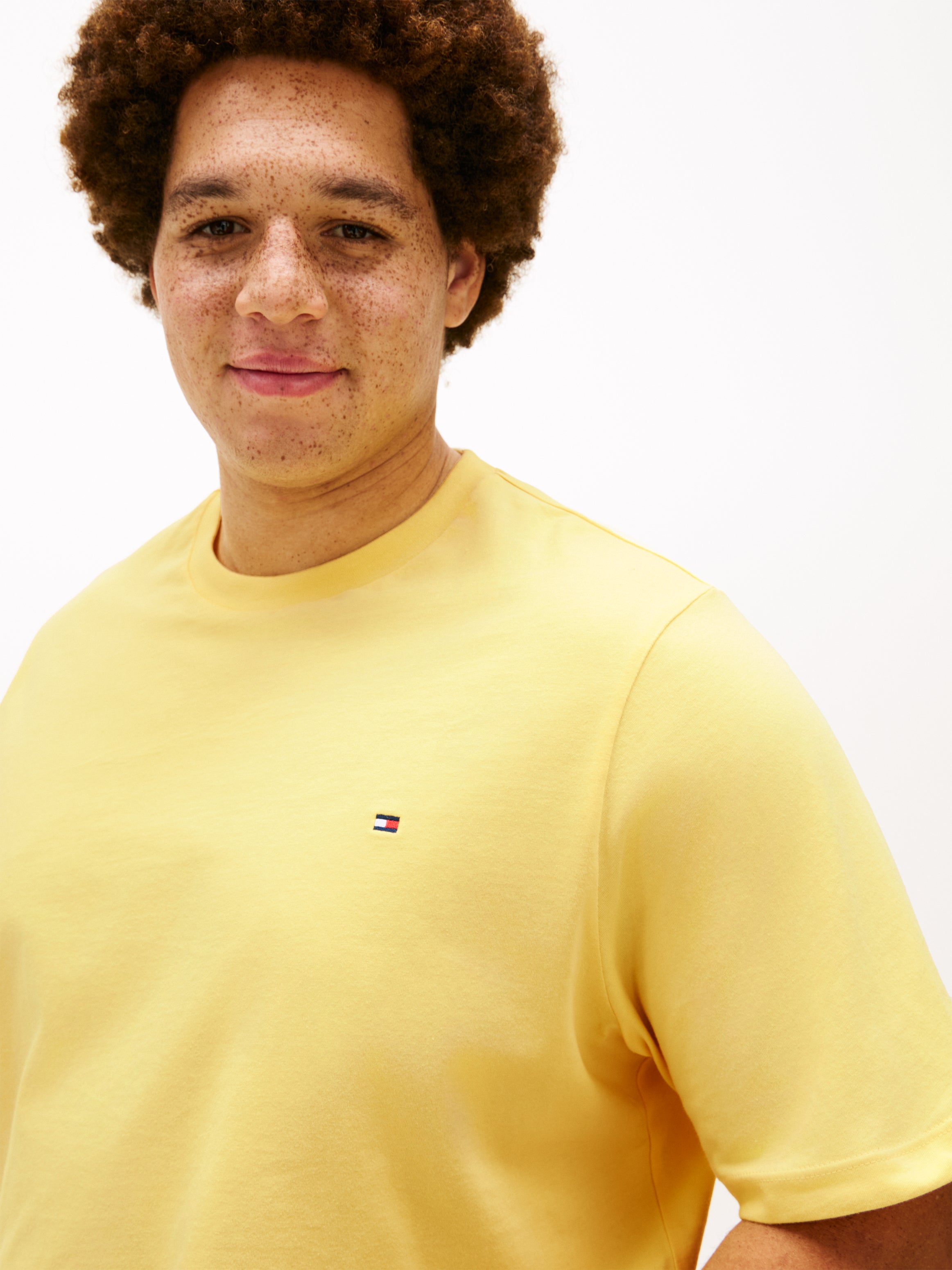 Big & Tall Tommy Hilfiger Regular Fit T-Shirt