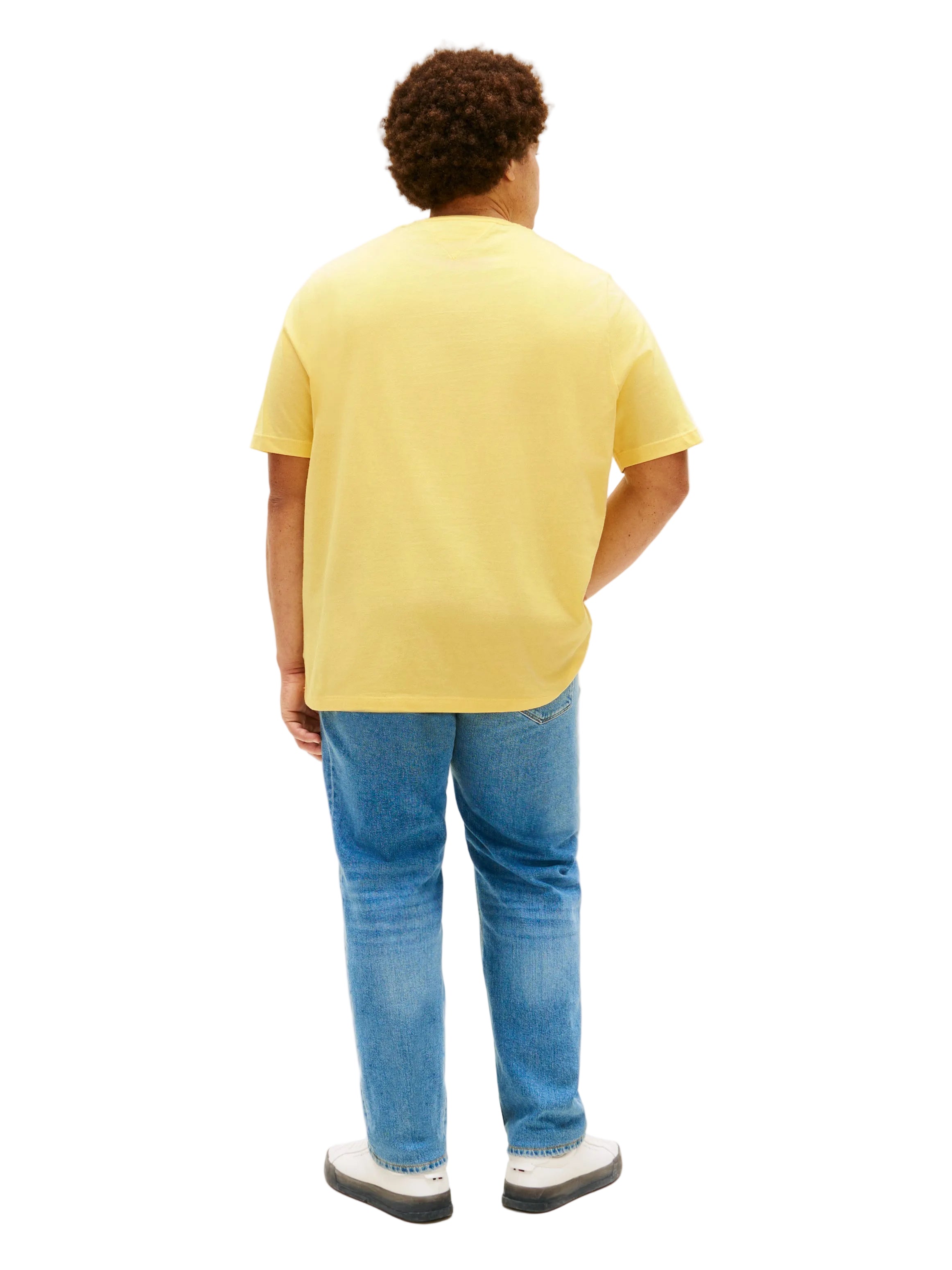 Big & Tall Tommy Hilfiger Regular Fit T-Shirt